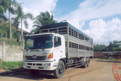 xe tải chở gia súc